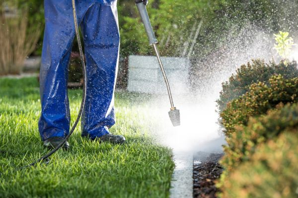 Cost of Curb Cleaning in Oxnard