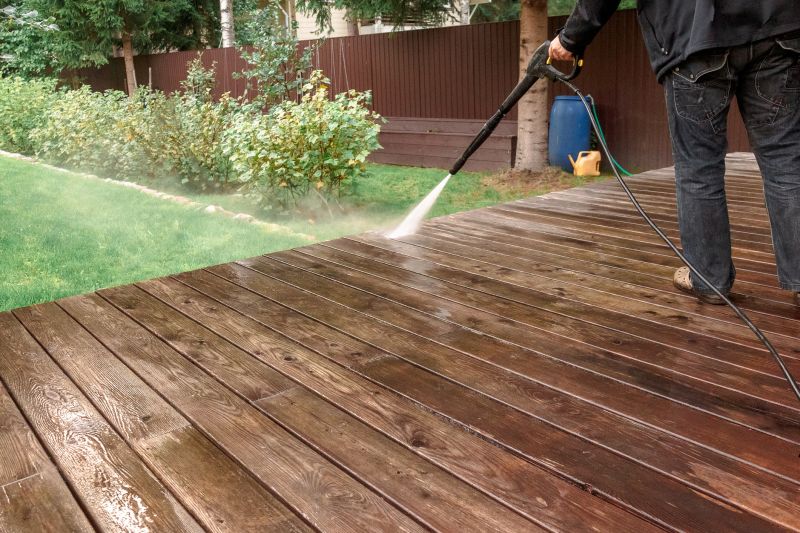 Deck and Fence Cleaning